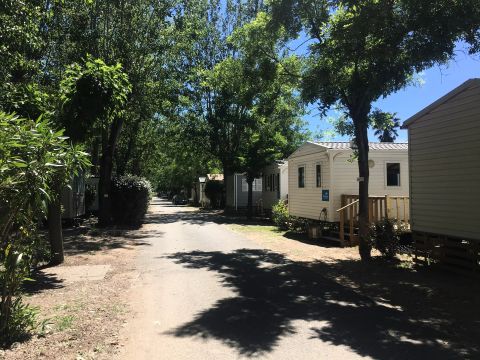 Camping Sandaya l'Etoile d'Argens - Camping Var - Image N°81