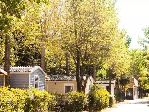 Camping Sandaya l'Etoile d'Argens - Camping Var - Image N°78