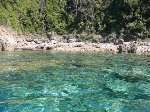 Camping Le Sagone - Camping Corse du sud - Image N°19