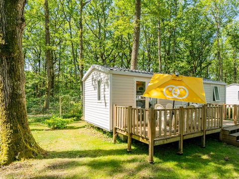 Bungalow 6 personnes - Mobil-home | Comfort | 2 Ch. | 4/6 Pers. | Terrasse surélevée non couverte