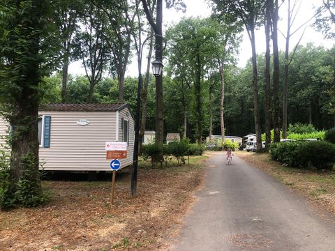 Camping  Le Parc des Roches - Camping Essonne - Image N°30