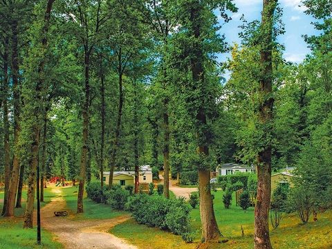 Camping  Le Parc des Roches - Camping Essonne - Image N°10