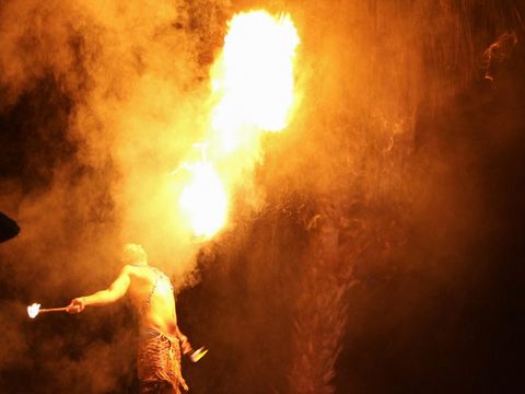 Camping Le Bosc - Camping Pyrénées-Orientales - Image N°37