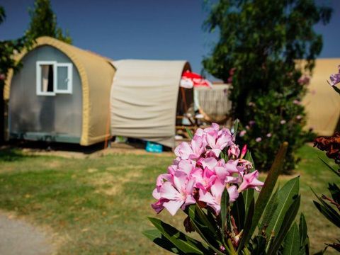 Tente en toile et en bois 4 personnes - C- Coco Lodge - 2 chambres 16m²