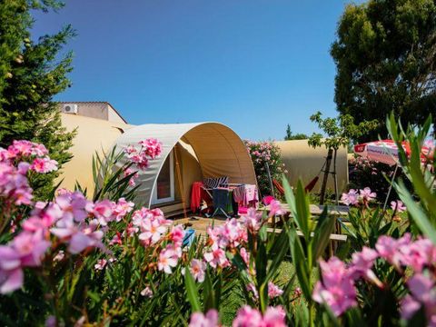Tente en toile et en bois 4 personnes - C- Coco Lodge - 2 chambres 16m²