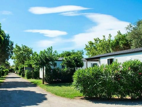 Camping Le Roussillon  - Camping Pyrénées-Orientales - Image N°13