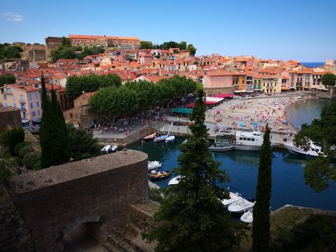 Camping Le Roussillon  - Camping Pyrénées-Orientales - Image N°19