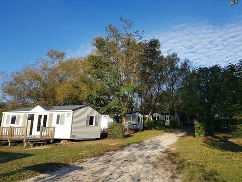 Camping pêche les Etangs de Plessac  - Camping Dordogne - Image N°8