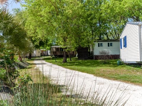 Camping les Etangs de Plessac  - Camping Dordogne - Image N°54