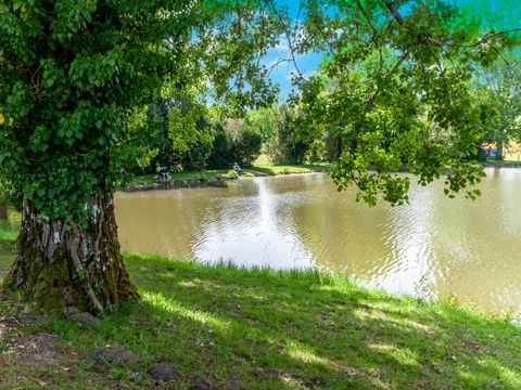 Camping les Etangs de Plessac  - Camping Dordogne - Image N°57