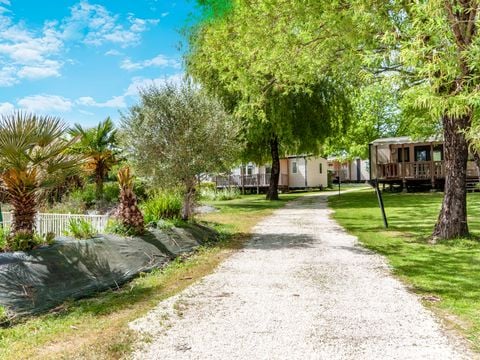 Camping les Etangs de Plessac  - Camping Dordogne - Image N°48