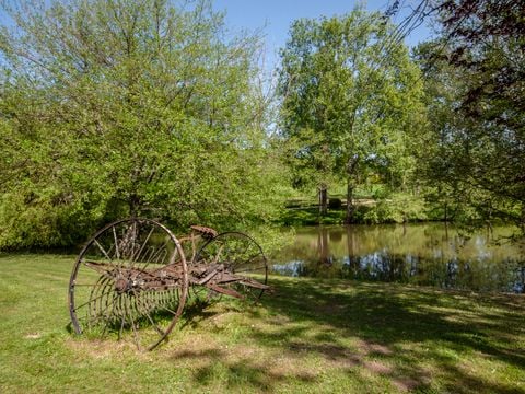 Camping les Etangs de Plessac  - Camping Dordogne - Image N°56