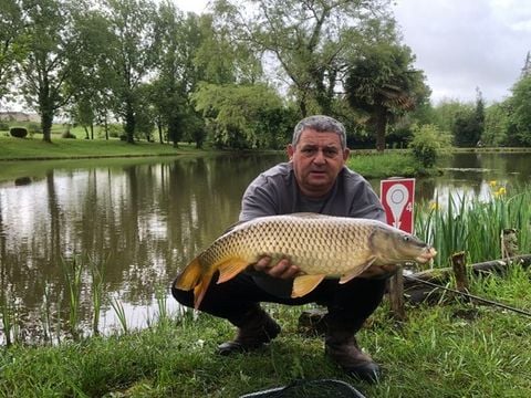 Camping les Etangs de Plessac  - Camping Dordogne - Image N°38