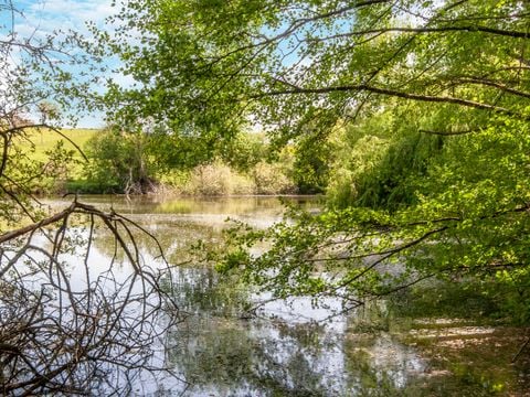 Camping les Etangs de Plessac  - Camping Dordogne - Image N°58