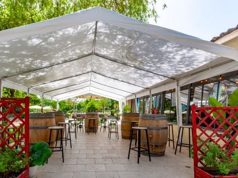 Camping les Etangs de Plessac  - Camping Dordogne - Image N°19