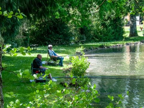 Camping les Etangs de Plessac  - Camping Dordogne - Image N°8