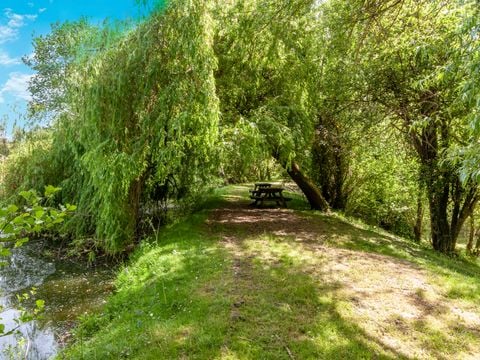 Camping les Etangs de Plessac  - Camping Dordogne - Image N°57