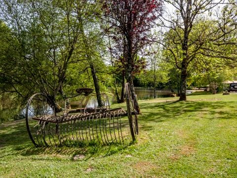 Camping les Etangs de Plessac  - Camping Dordogne - Image N°14