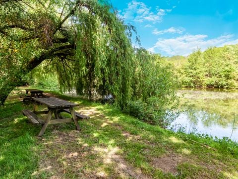 Camping les Etangs de Plessac  - Camping Dordogne - Image N°58