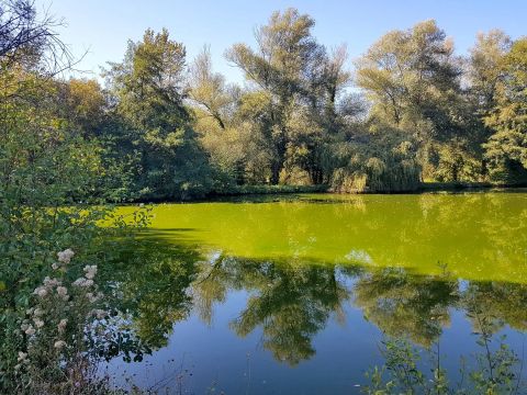 Camping pêche les Etangs de Plessac  - Camping Dordogne - Image N°38