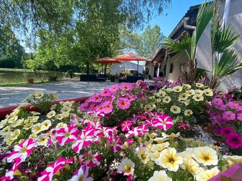 Camping les Etangs de Plessac  - Camping Dordogne - Image N°26