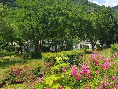 Camping  Villages Rives d'Olt et Aubrac - Camping Aveyron - Image N°35