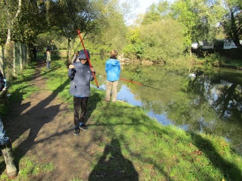 Camping Paradis - Domaine de Bellevue - Camping Vandea