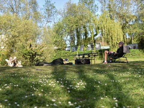 Camping Paradis - Domaine de Bellevue - Camping Vendée