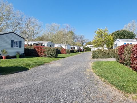 Camping Paradis - Domaine de Bellevue - Camping Vendée - Image N°17