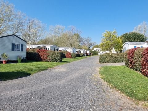 Camping Paradis - Domaine de Bellevue - Camping Vendée - Image N°30