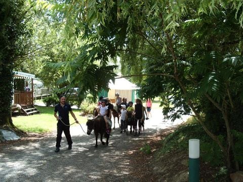 Camping Paradis - Domaine de Bellevue - Camping Vandea