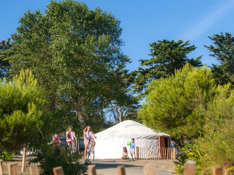 Camping La Côte Sauvage  - Camping Charente-Maritime - Image N°14