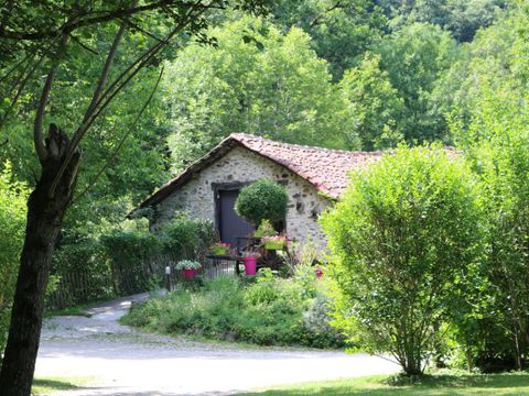 Camping Moulin de Chaules  - Camping Cantal - Image N°18