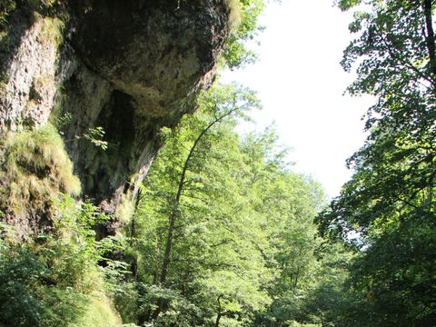 Camping Moulin de Chaules  - Camping Cantal - Image N°49