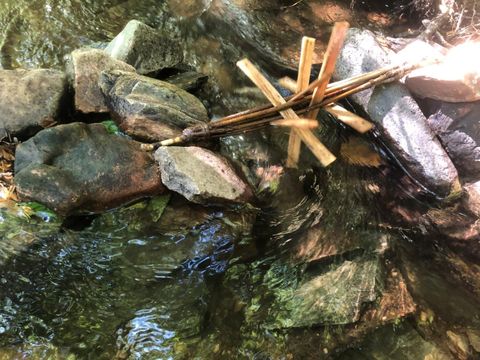 Camping Moulin de Chaules  - Camping Cantal - Image N°24