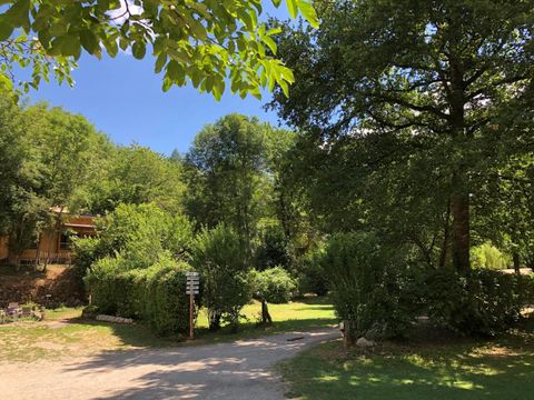 Camping Moulin de Chaules  - Camping Cantal - Image N°16