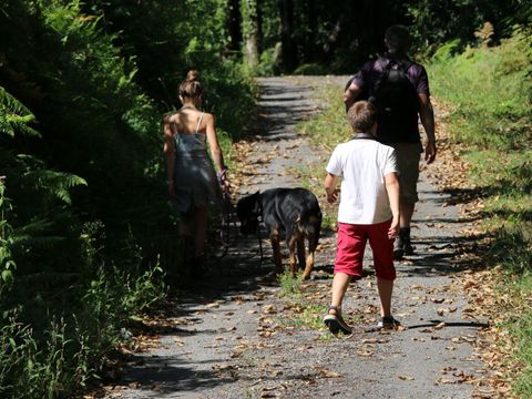 Camping Moulin de Chaules  - Camping Cantal - Image N°51