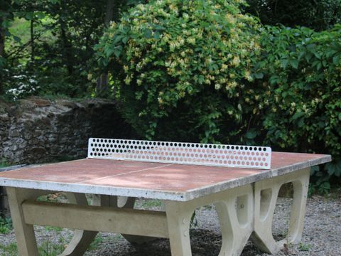 Camping Moulin de Chaules  - Camping Cantal - Image N°48