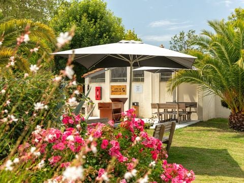 Camping Les Catalpas de Royan - Camping Charente-Maritime - Afbeelding N°3