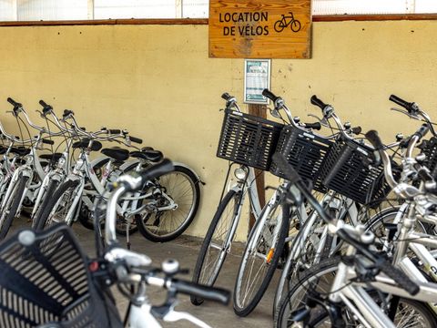 Camping Les Catalpas de Royan - Camping Charente-Maritime - Image N°11