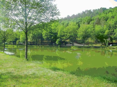 Camping Le Roc de Lavandre - Camping Dordogne - Image N°3