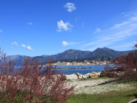 Camping U pezzo - Camping Corse du nord - Image N°19