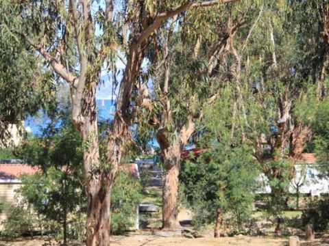 Camping U pezzo - Camping Corse du nord - Image N°17
