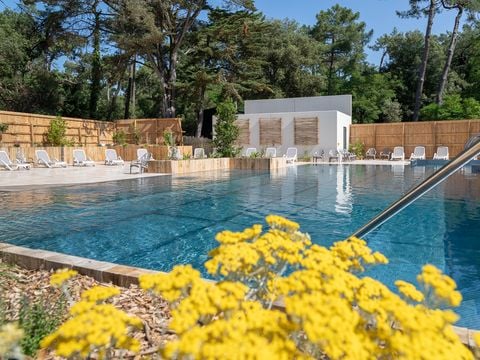 Camping Les Cyprès - Camping Vandea - Image N°2