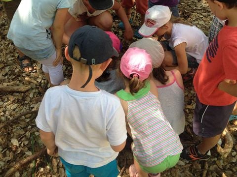Camping Les Cyprès - Camping Vendée