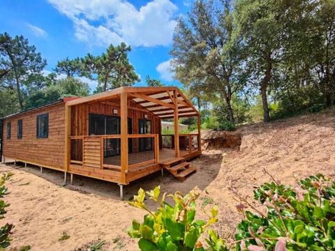 Domaine des Pins   - Camping Vendée - Image N°4