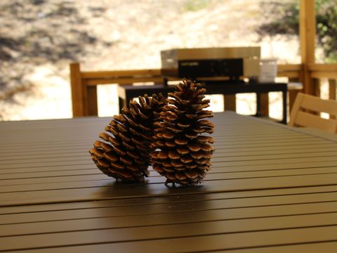 MOBILHOME 6 personnes - 085 - 3 chambres