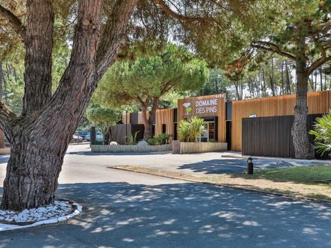 Domaine des Pins   - Camping Vendée - Image N°5