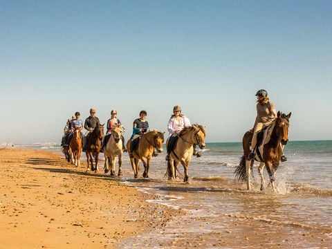 Domaine des Pins   - Camping Vendée - Image N°41