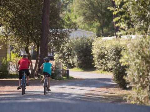 Domaine des Pins   - Camping Vendée